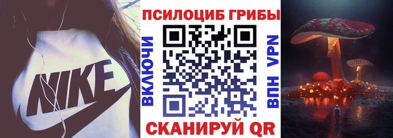 блэк спрут сайт  Енисейск  Псилоцибиновые грибы Magic Shrooms 